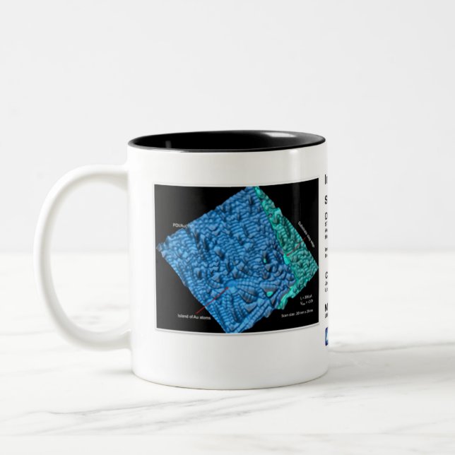 RHK Technology - June 2010 IOM Coffee Mug (Left)