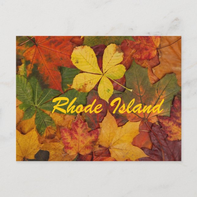 Rhode Island Autumn Leaves Postcard (Front)
