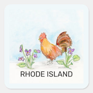 Rhode Island bird flower Square Sticker