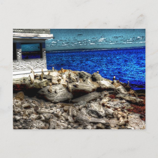 Rhode Island, Narragansett Picture Postcard (Front)