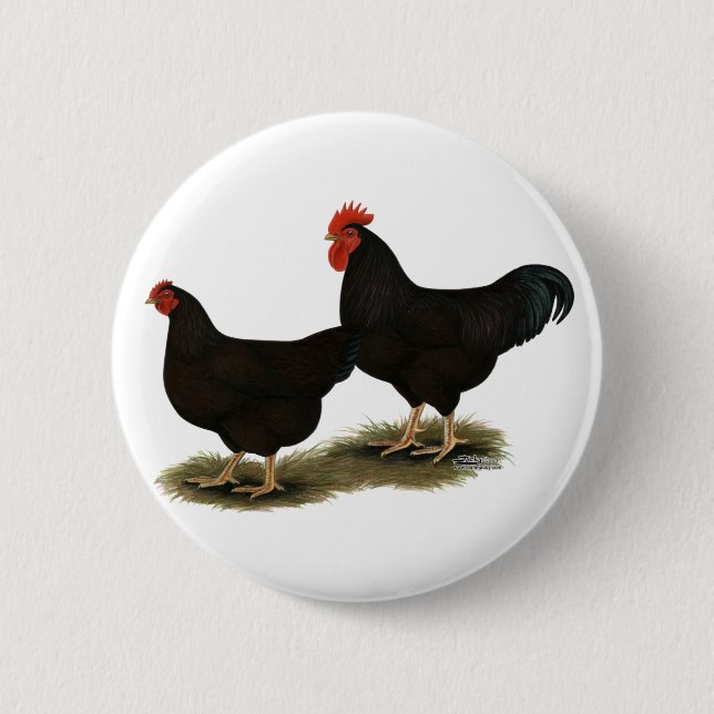 Rhode Island Red Bantams 2 Inch Round Button (Front)