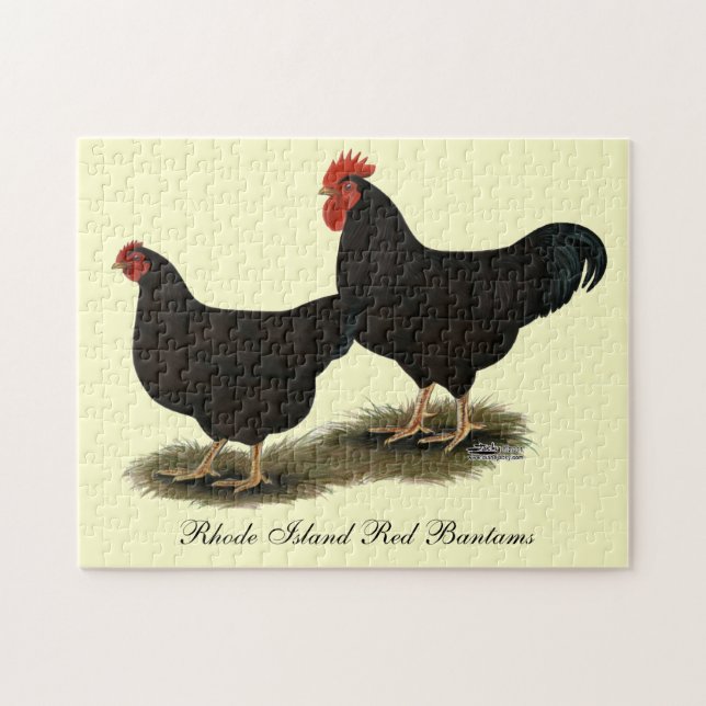 Rhode Island Red Bantams Jigsaw Puzzle (Horizontal)