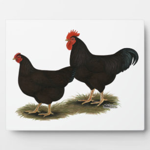 Rhode Island Red Bantams Plaque