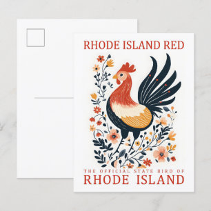 Rhode Island Red Bird of Rhode Island Travel Postcard