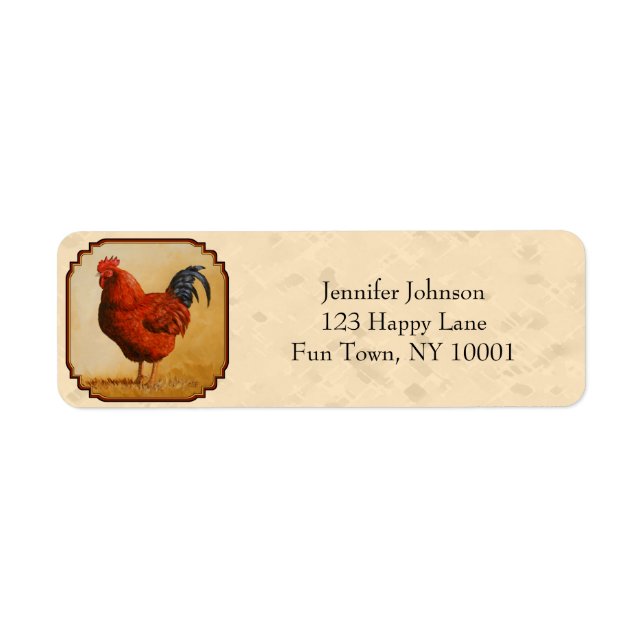 Rhode Island Red Chicken Beige (Front)