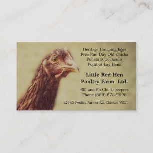 Rhode Island Red Chicken Pullet - Poultry Farmer Business Card