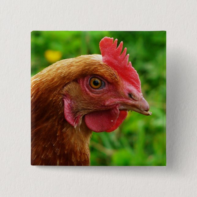 Rhode Island Red Hen 2 Inch Square Button (Front)