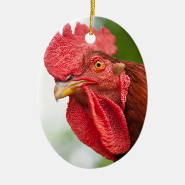 Rhode Island Red Rooster Ceramic Ornament (Front)