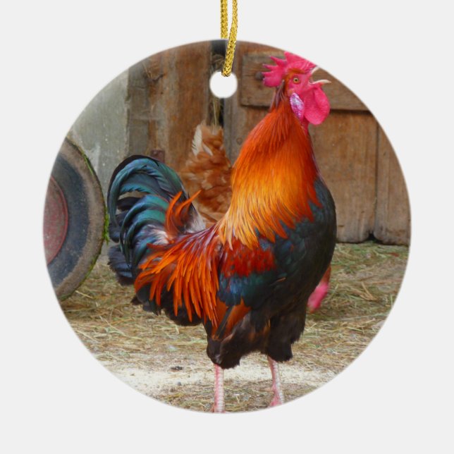 Rhode Island Red Rooster Crowing in Barnyard Ceramic Ornament (Front)