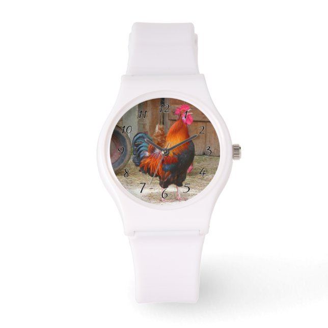 Rhode Island Red Rooster Crowing in Barnyard Watch (Front)