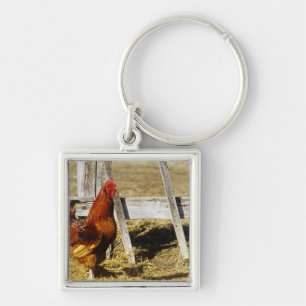 Rhode Island Red Rooster Keychain