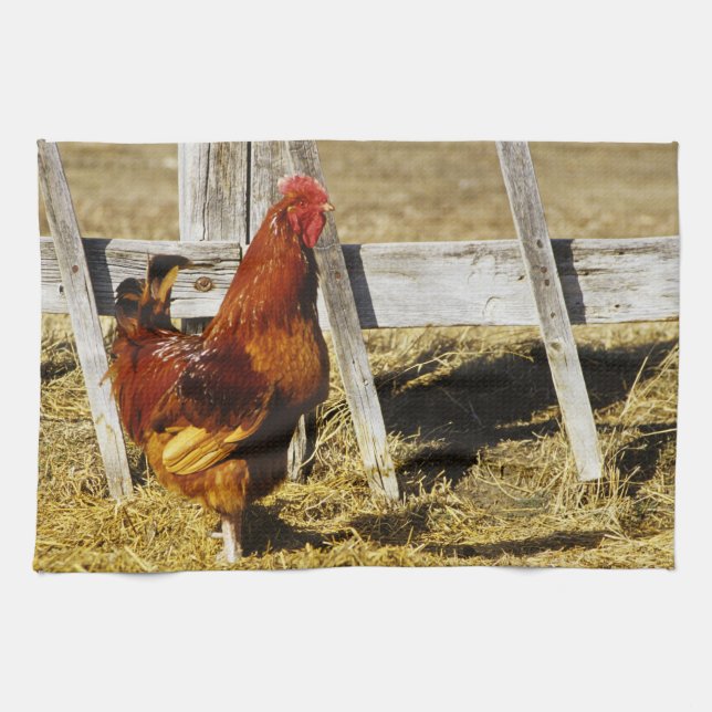 Rhode Island Red Rooster Kitchen Towel (Horizontal)