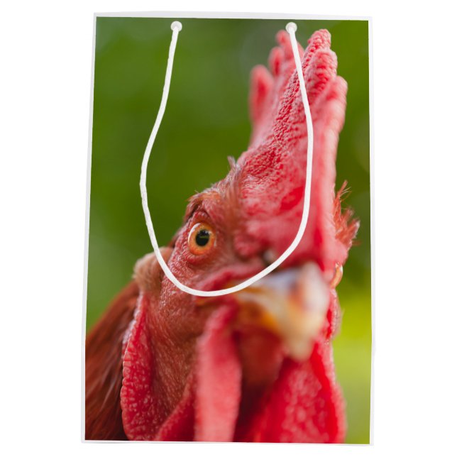 Rhode Island Red Rooster Medium Gift Bag (Back)