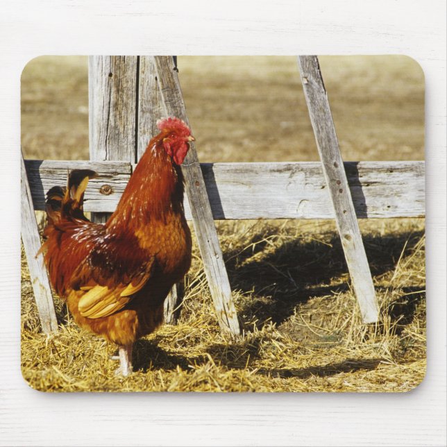 Rhode Island Red Rooster Mouse Pad (Front)