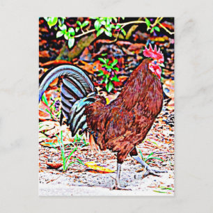 Rhode Island Red Rooster Postcard