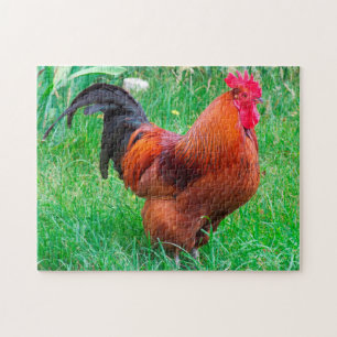 Rhode Island Rooster. Jigsaw Puzzle