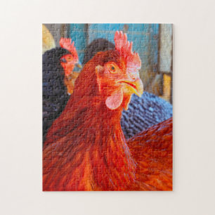 Rhode Island Rooster. Jigsaw Puzzle
