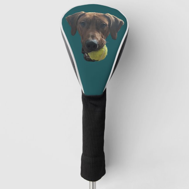 Rhodesian Ridgeback at Play Golf Head Cover (Front)