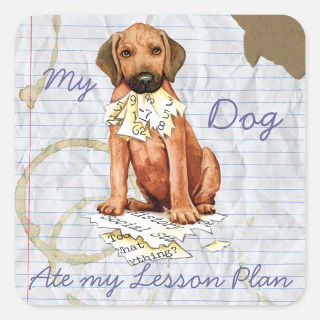 Rhodesian Ridgeback Ate Lesson Plan Square Sticker (Front)