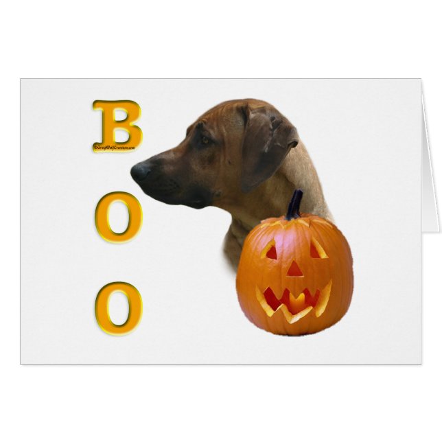 Rhodesian Ridgeback Boo (Front Horizontal)