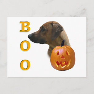Rhodesian Ridgeback Boo Postcard