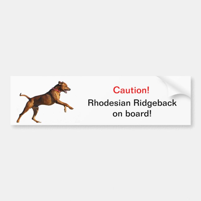 Rhodesian Ridgeback bumper sticker (Front)