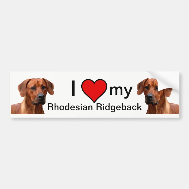 Rhodesian Ridgeback bumpersticker Bumper Sticker (Front)