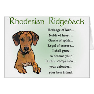 Rhodesian Ridgeback Cadeaux