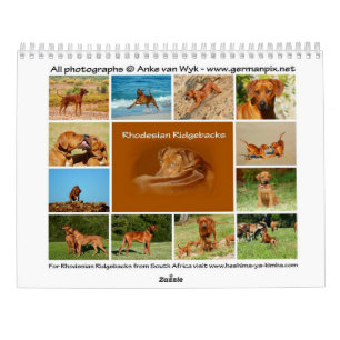 Rhodesian Ridgeback calendar