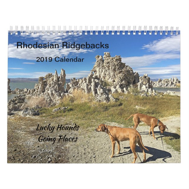 Rhodesian Ridgeback Calendar 2019 Going Places (Cover)