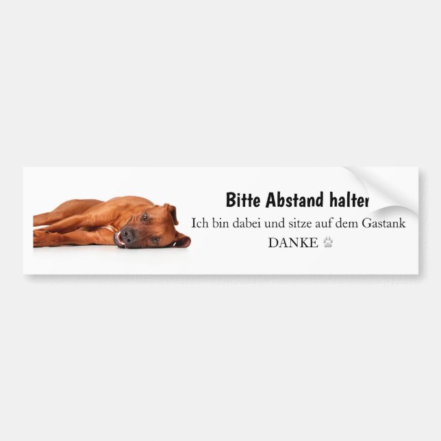 Rhodesian Ridgeback car sticker (Front)