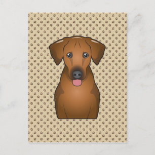 Rhodesian Ridgeback Cartoon Postcard