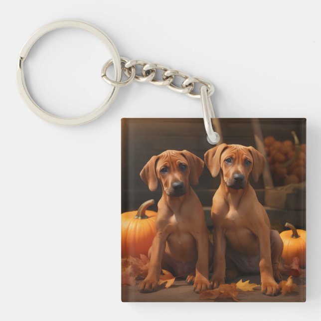 Rhodesian Ridgeback Chiot Automne Citrouille délic (Devant)