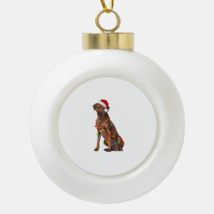 Rhodesian Ridgeback Christmas Lights Xmas Dog Love Ceramic Ball Christmas Ornament