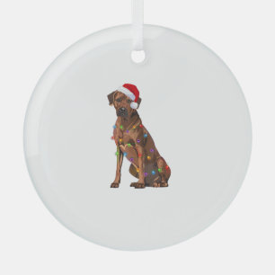 Rhodesian Ridgeback Christmas Lights Xmas Dog Love Glass Ornament
