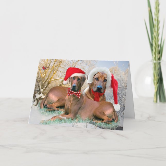 Rhodesian Ridgeback Christmas Scene cards (Front)