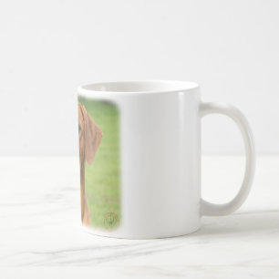 Rhodesian Ridgeback Coffee Mug
