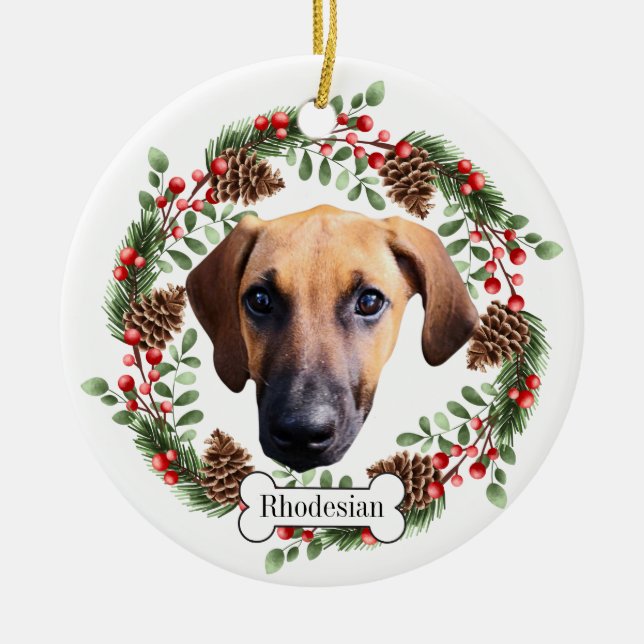 Rhodesian Ridgeback  dog Ceramic Ornament (Front)