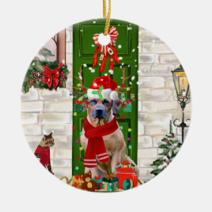 Rhodesian Ridgeback Dog Christmas Ceramic Ornament