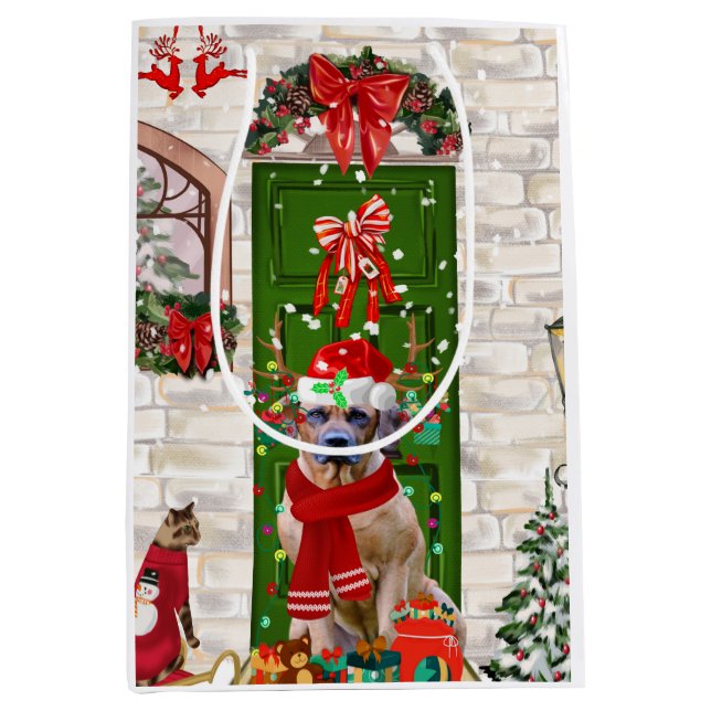 Rhodesian Ridgeback Dog Christmas Gift Bag (Front)