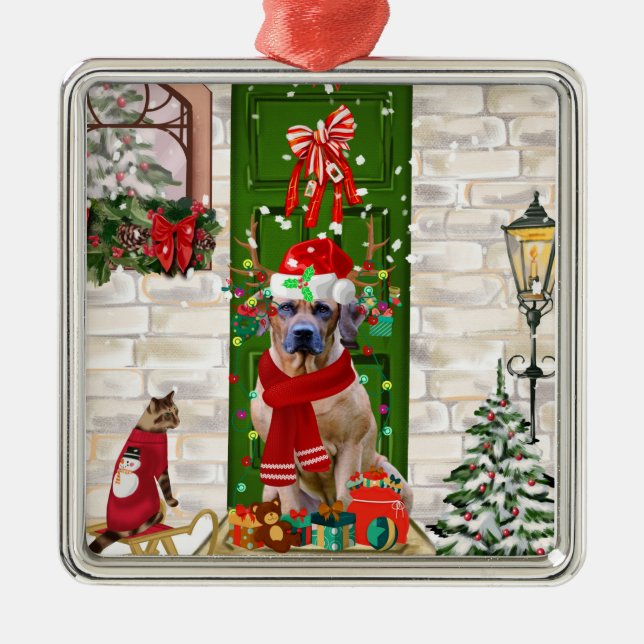 Rhodesian Ridgeback Dog Christmas  Metal Ornament (Front)