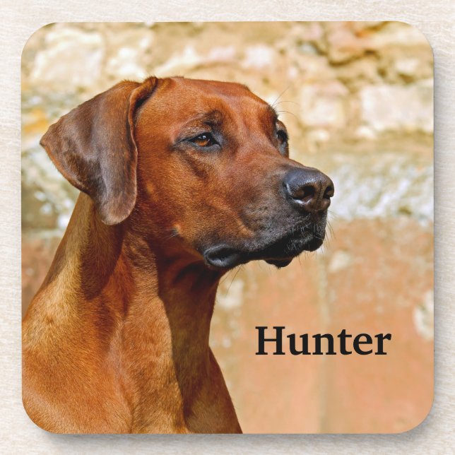 Rhodesian Ridgeback Dog Coaster (Front)