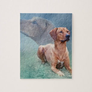 Rhodesian Ridgeback Dog Collage Jigsaw Puzzle