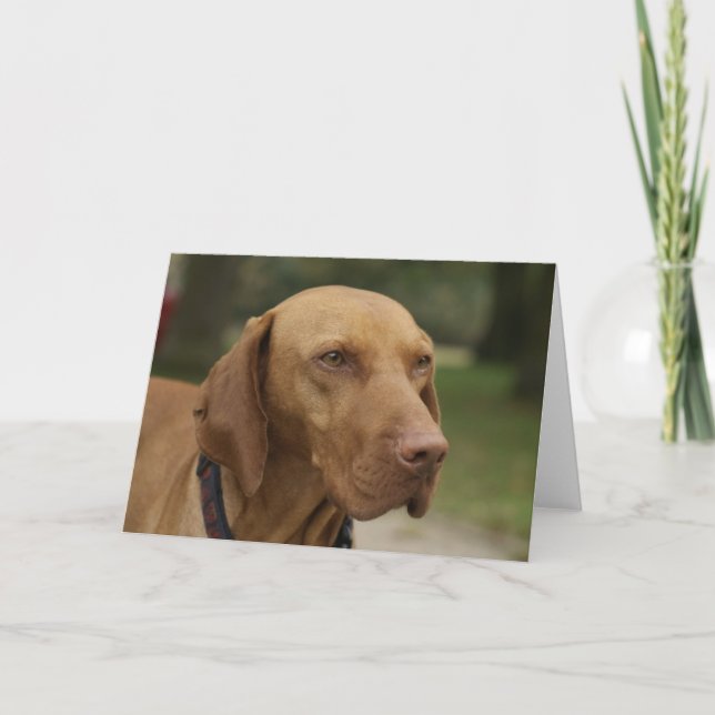 Rhodesian Ridgeback Dog Greeting Card (Front)