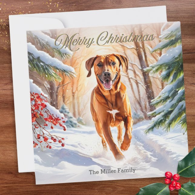 Rhodesian Ridgeback Dog In Snow Merry Christmas Holiday Card (A Christmas card with illustration of a Rhodesian Ridgeback dog running through the winter snow)