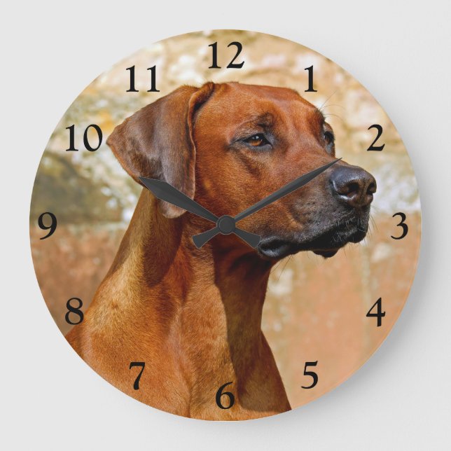 Rhodesian Ridgeback Dog Large Clock (Front)