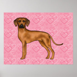 Rhodesian Ridgeback Dog Love Heart Pattern Pink Poster