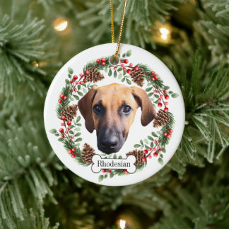 Rhodesian Ridgeback dog Personalized Pet Ornament