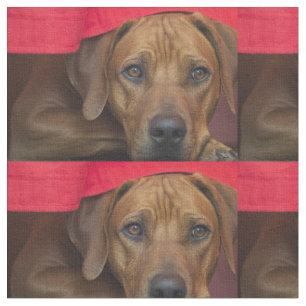 rhodesian-ridgeback fabric