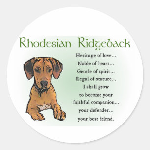 Rhodesian Ridgeback Gifts Classic Round Sticker